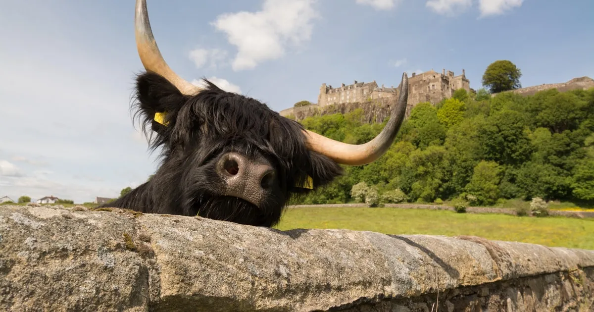 A coach day from Edinburgh with a driver-guide, on a tour of Stirling Castle, castle tours in Europe